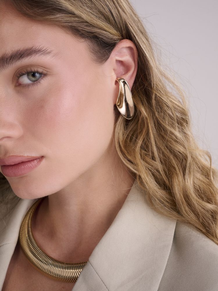 עגילים מטפסים