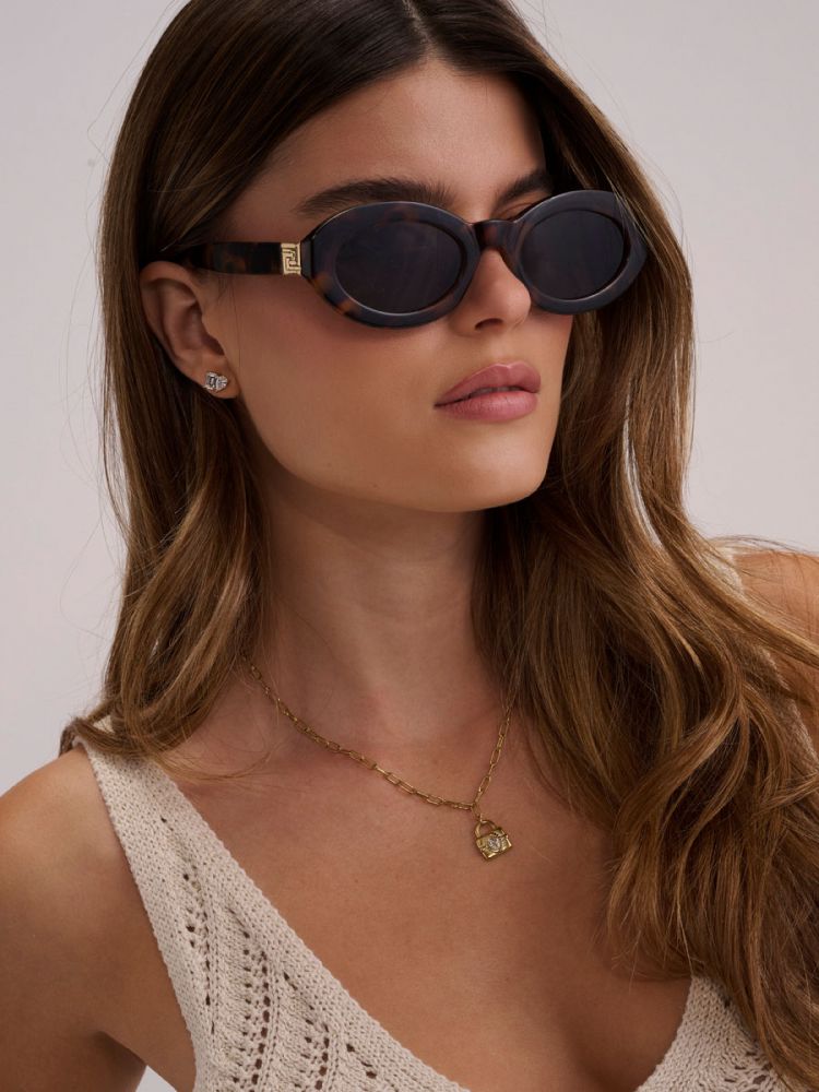 שרשרת מנעול מפלדת אל-חלד