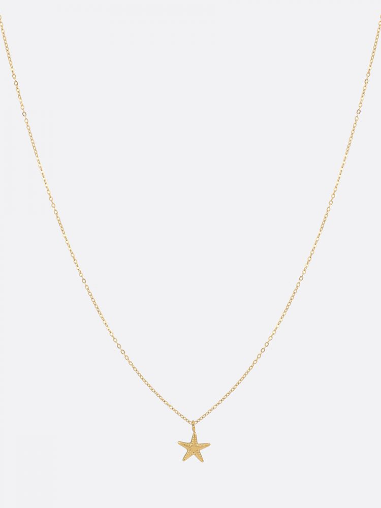 שרשרת פלדת אל-חלד