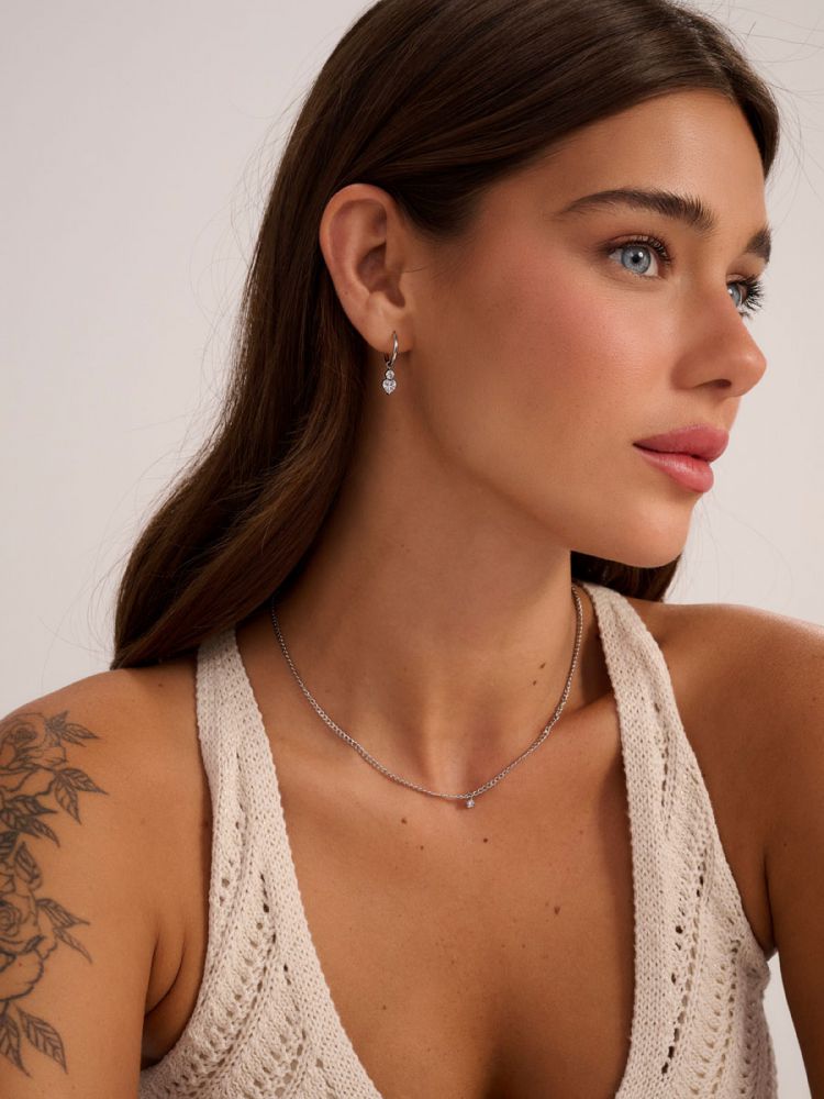 עגילים פלדת אל-חלד